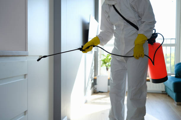 Best Commercial Mold Removal  in Cleveland, FL
