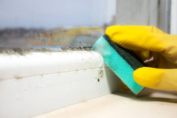 Best Crawl Space Mold Removal  in Cleveland, FL